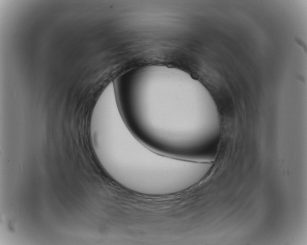 X0000096730029200802051139
