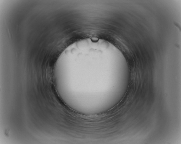 X0000096730030200802051139