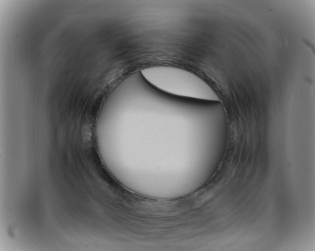 X0000096730032200802051139