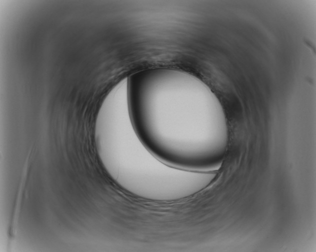 X0000096730033200802051139