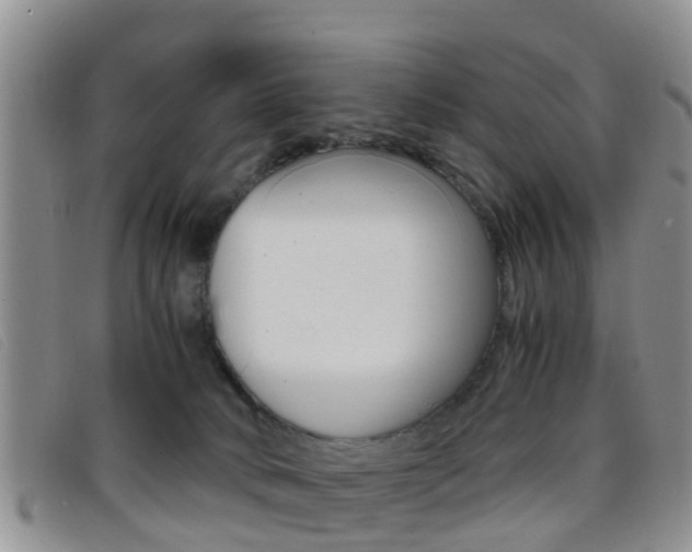 X0000096730034200802051139