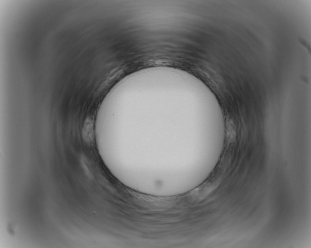 X0000096730036200802051139