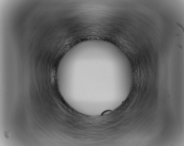 X0000096730038200802051139