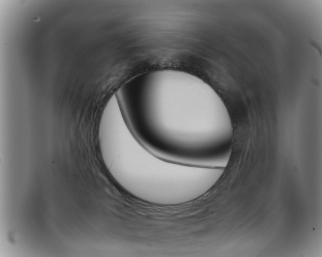 X0000096730039200802051139