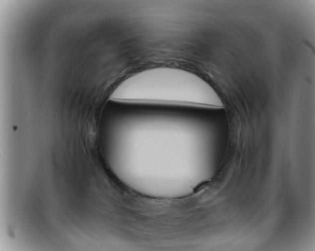 X0000096730040200802051139