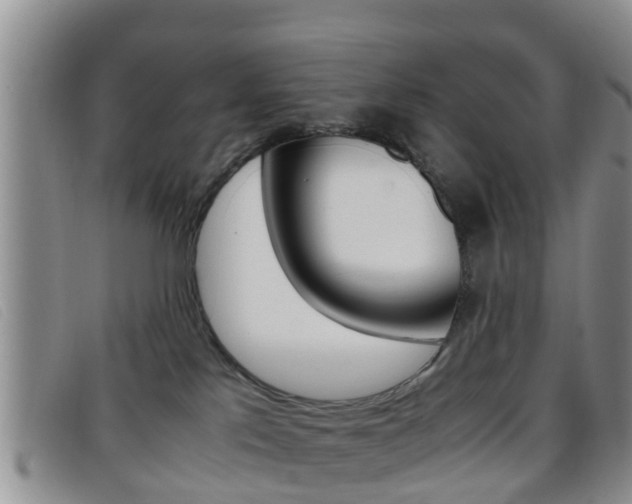 X0000096730041200802051139