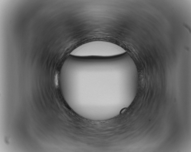 X0000096730042200802051139