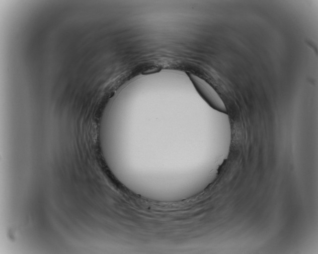 X0000096730043200802051139