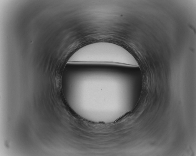 X0000096730044200802051139