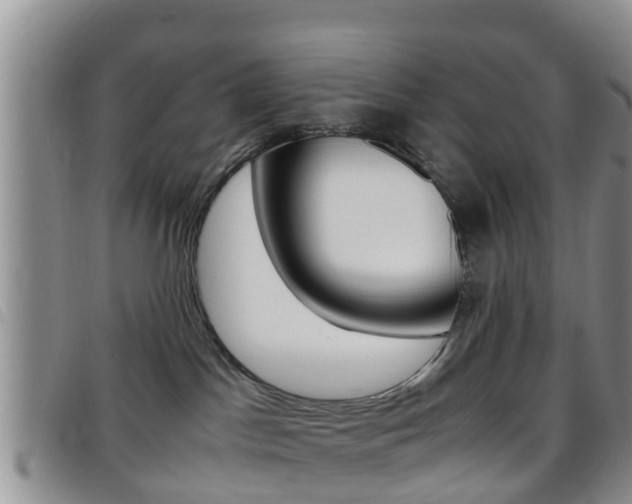 X0000096730045200802051139