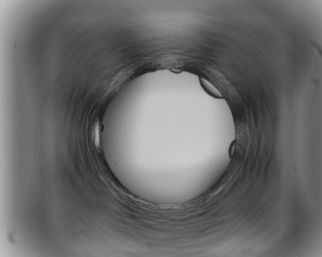 X0000096730046200802051139