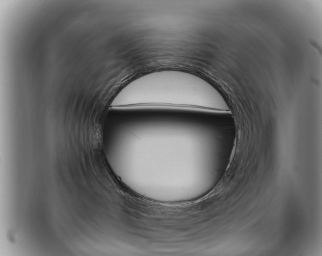 X0000096730048200802051139