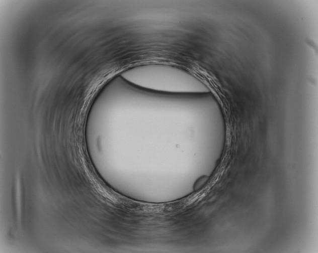 X0000096730049200802051138