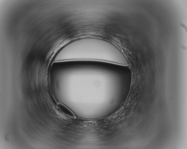 X0000096730050200802051138