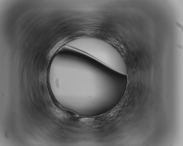 X0000096730051200802051138