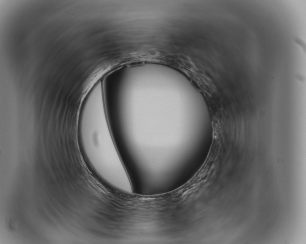 X0000096730052200802051138