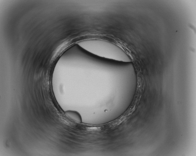 X0000096730053200802051138
