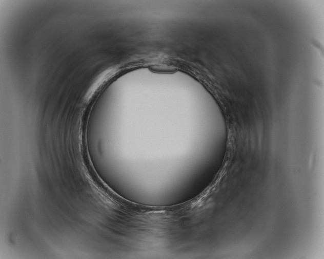 X0000096730054200802051138