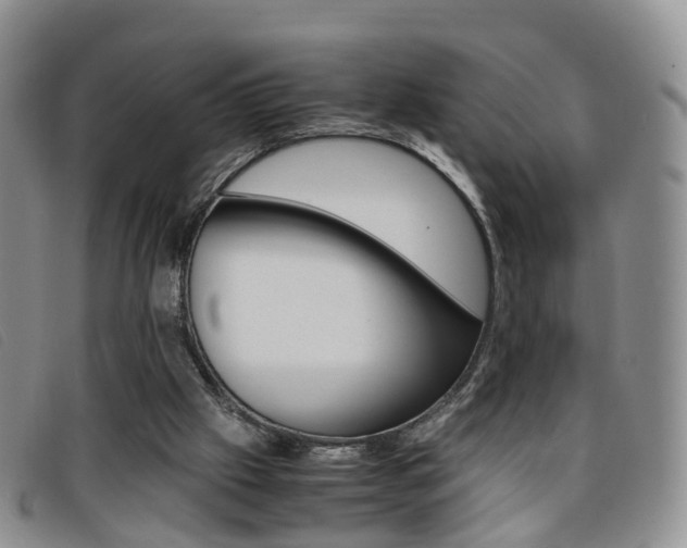 X0000096730057200802051138