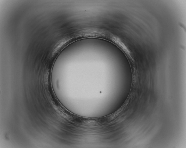 X0000096730058200802051138