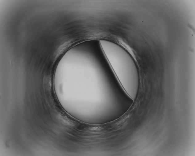 X0000096730059200802051138