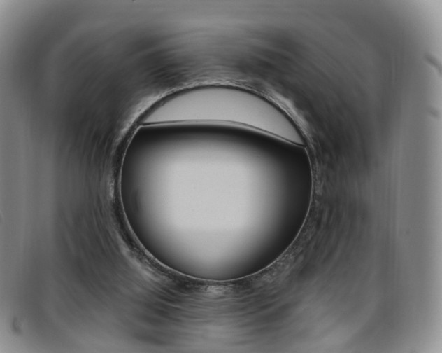 X0000096730060200802051138
