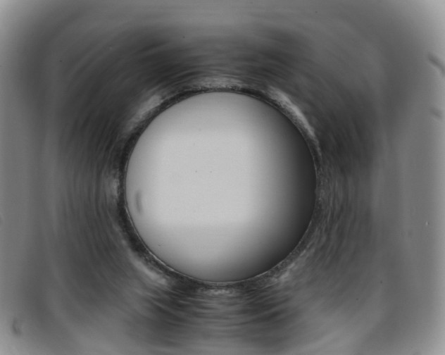 X0000096730063200802051138