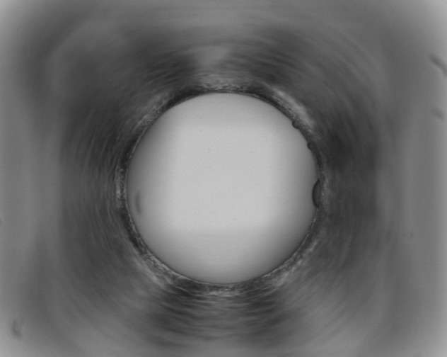 X0000096730065200802051138