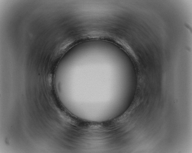 X0000096730066200802051138