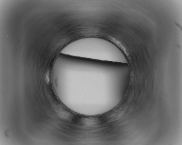 X0000096730069200802051138