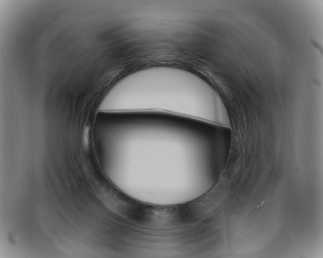X0000096730070200802051138