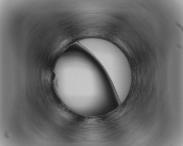 X0000096730072200802051138