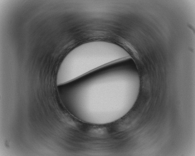 X0000096730073200802051138