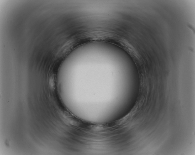 X0000096730074200802051138