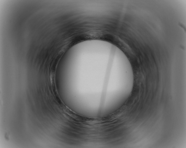 X0000096730075200802051138