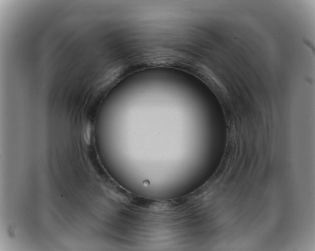 X0000096730076200802051138