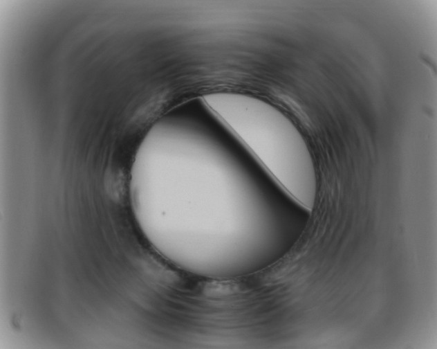 X0000096730077200802051138