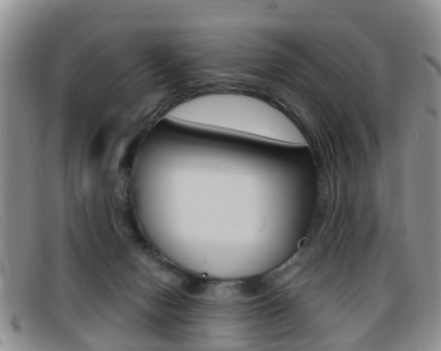 X0000096730078200802051138