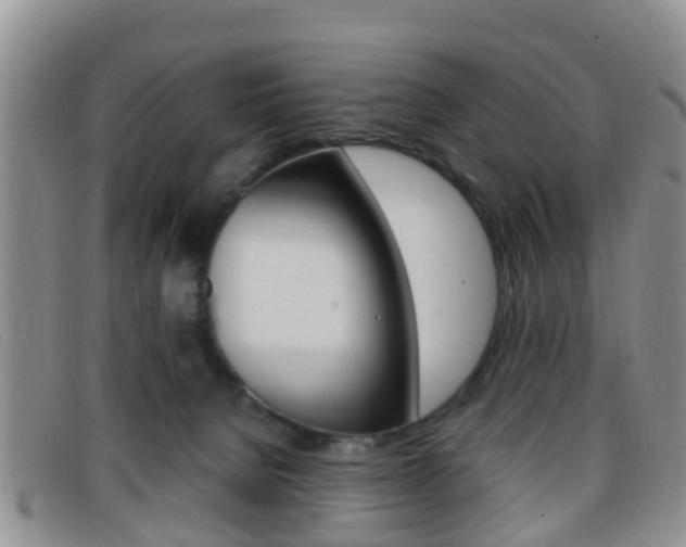 X0000096730080200802051138