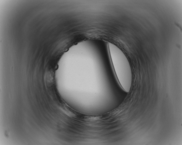 X0000096730081200802051138