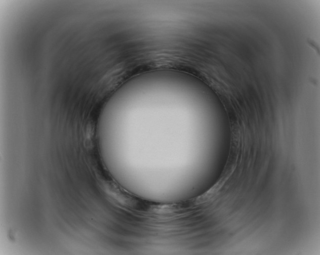 X0000096730082200802051138