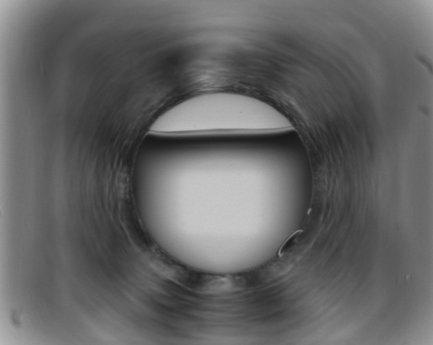 X0000096730083200802051138