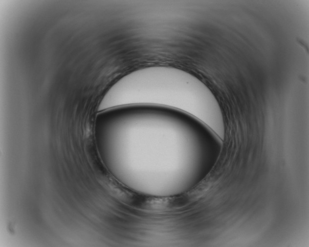 X0000096730084200802051139