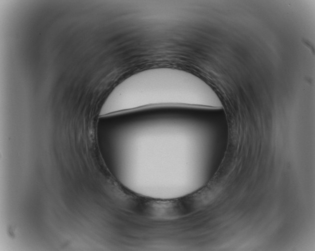 X0000096730085200802051139