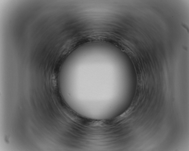X0000096730086200802051139