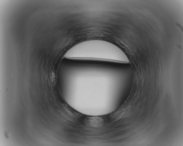 X0000096730087200802051139