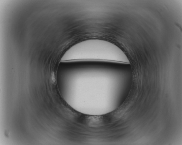 X0000096730089200802051139