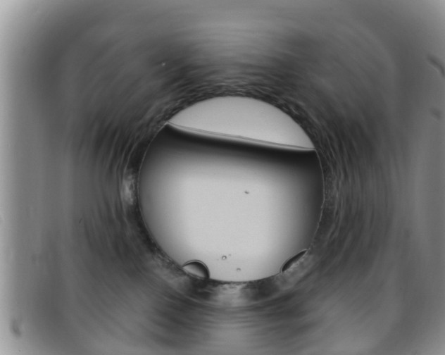 X0000096730090200802051139
