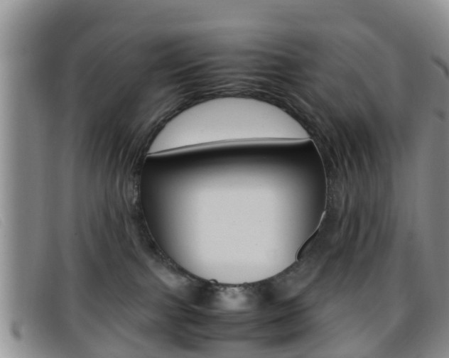 X0000096730091200802051139