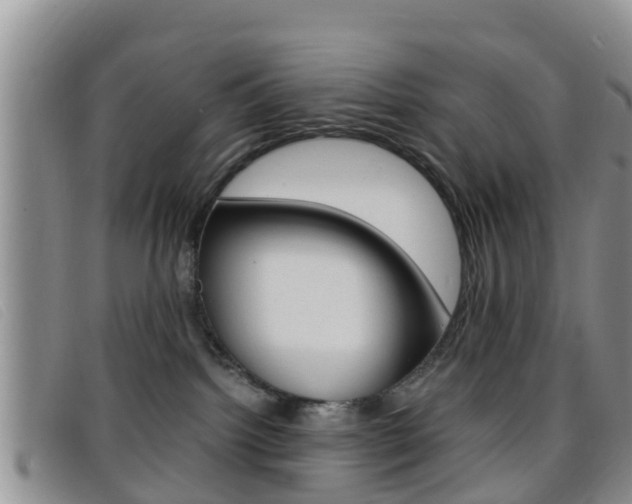 X0000096730092200802051139